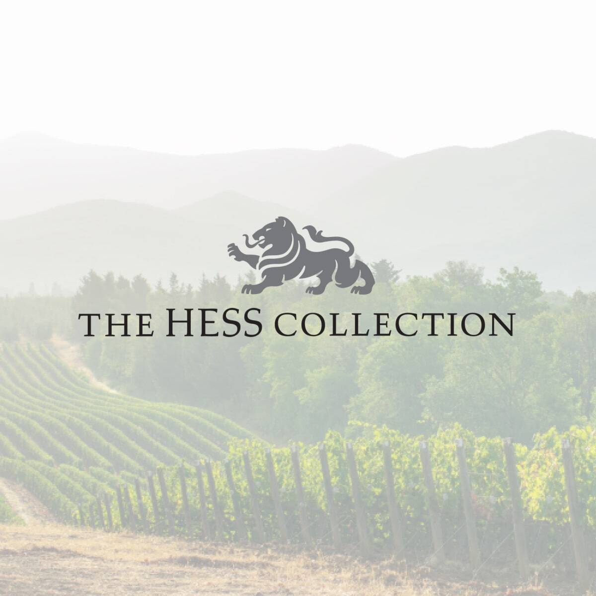 Square - Hess Collection-min