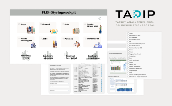 TADIP - analysedelings og informationsportal-1